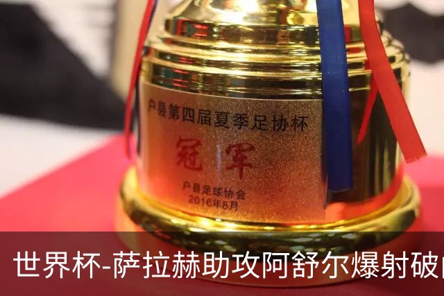 世界杯-萨拉赫助攻阿舒尔爆射破门 埃及半场1-0比利时